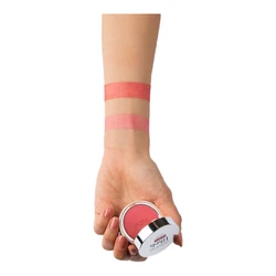 Pupa Extreme Blush Glow - Exotic Rose 100 2 Pupa Extreme Blush Glow - Exotic Rose 100 - Image 2