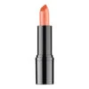 RVB Lab Professional Lipstick 11