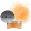 FACE Atelier Ultra Loose Powder - Translucent Pro